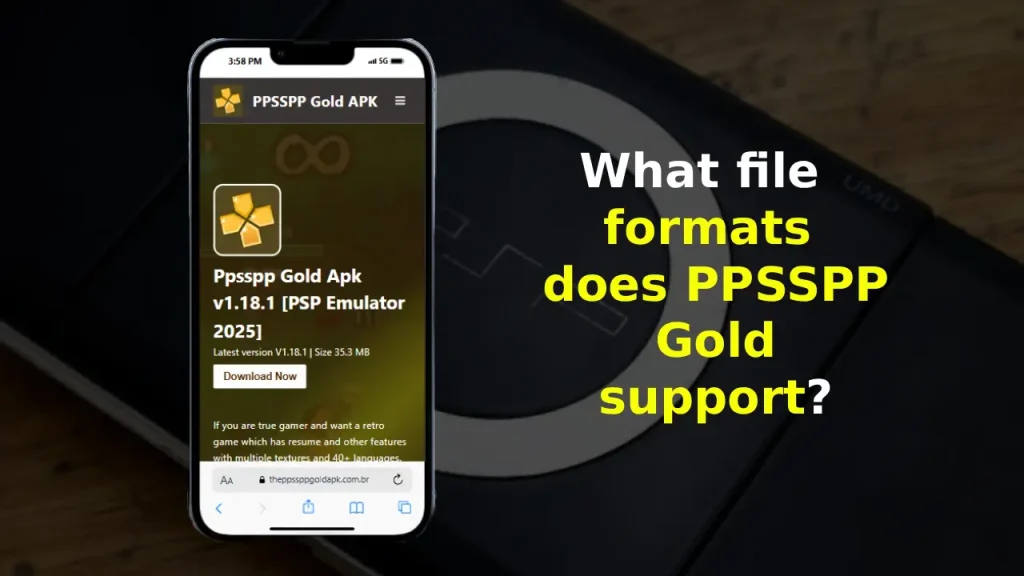 What file formats does PPSSPP Gold support?